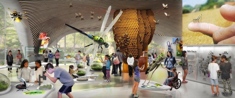 Gilder Center-American Museum of Natural History-Addition-Renovation-Upper West Side-Studio Gang Architects-Jeanne Gang-NYC. GC_Insectarium_Jan2017