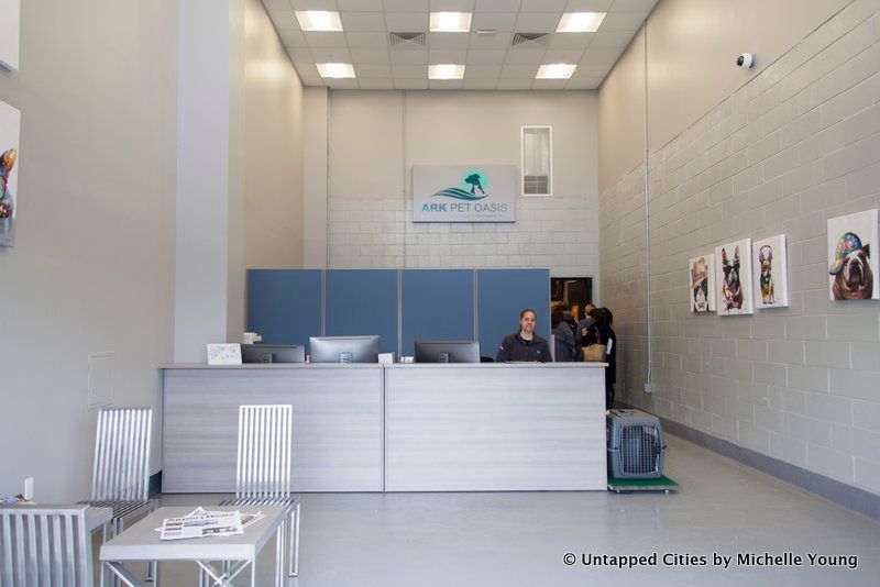 A woman sits at the ARK Pet terminal front desk at  JFK Airport