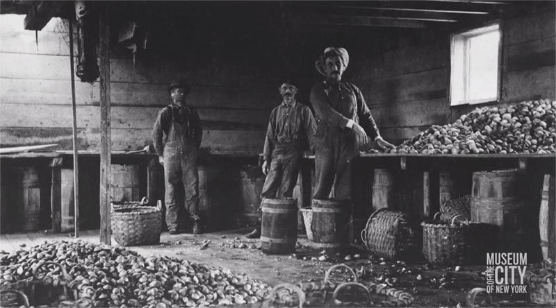 Oyster men in their prime.