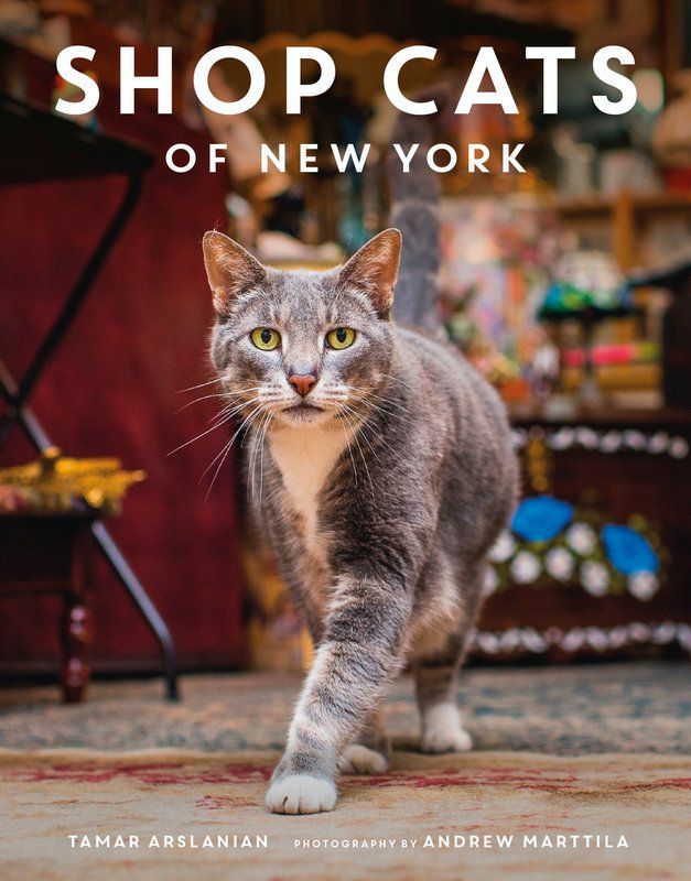 Shop Cats of New York-Book-Tamar Arslanian-Andrew Marttila-NYC-013