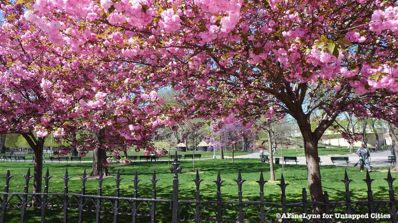 Marcus Garvey Park Untapped Cities AFineLyne