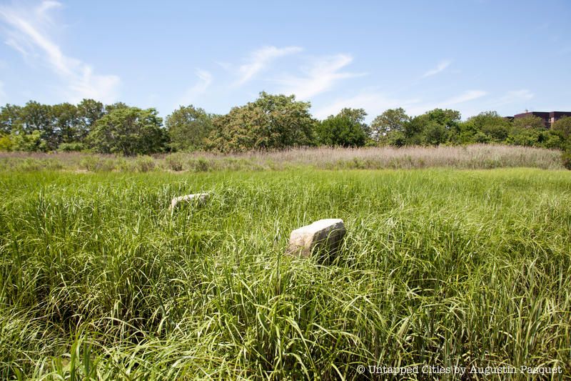 Marine Park-Parkland-Gerritsen Mill-Brooklyn-NYC