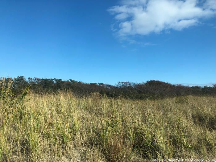 Wildlife Preserve in Rockaways