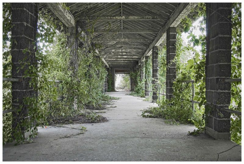 Floyd Bennett Field