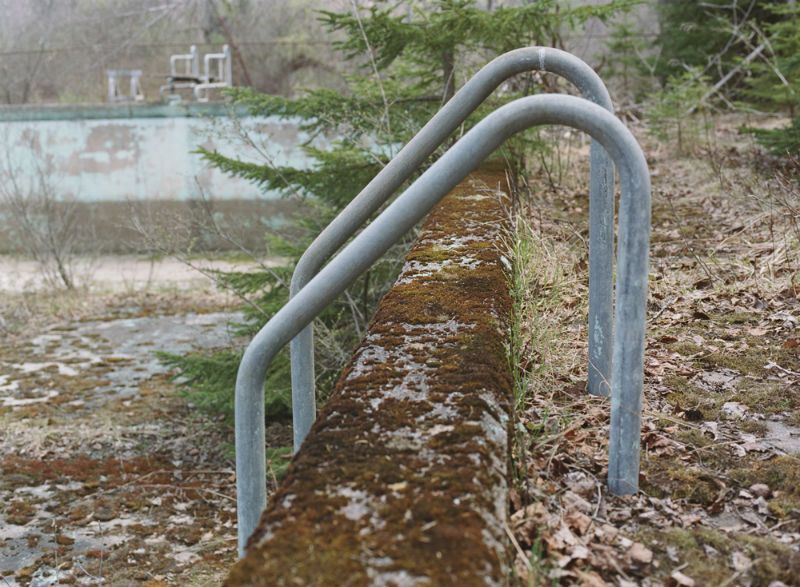 Moss grows on the edge of a pool in the Borscht Belt