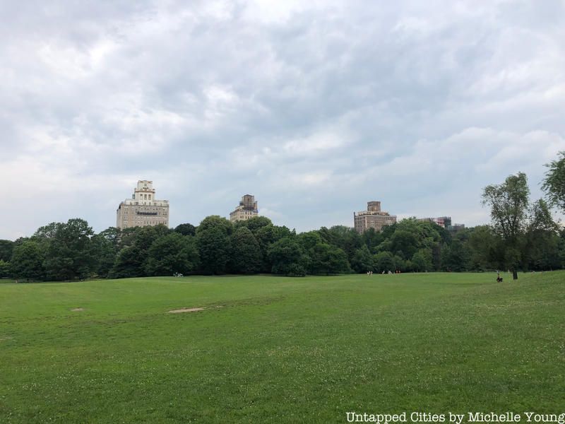 Prospect Park meadow