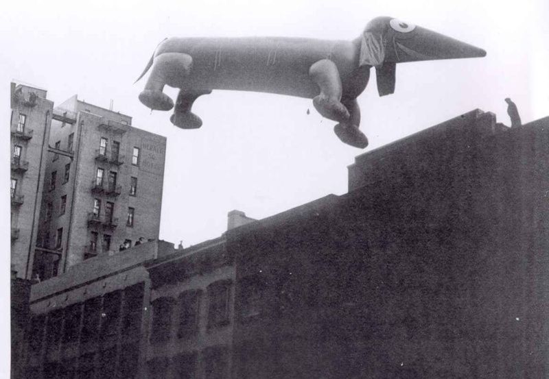 A dog balloon floats in the air at an early  Macy's Thanksgiving Day Parade