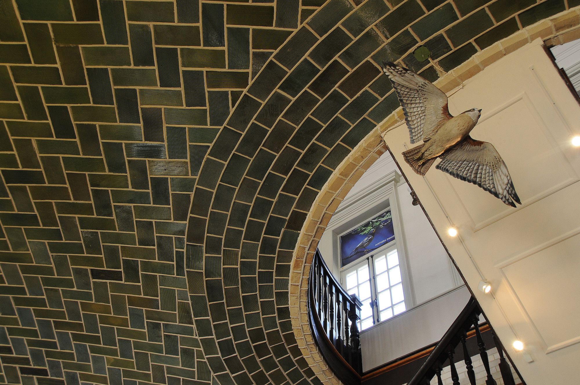 Guastavino tile in Prospect Park boathouse