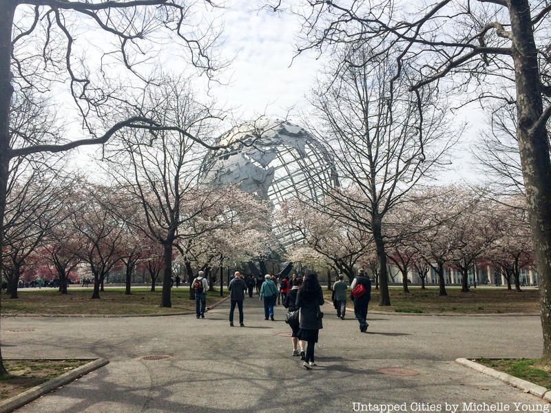 cherry blossom trees at Flushing Meadows Corona Park