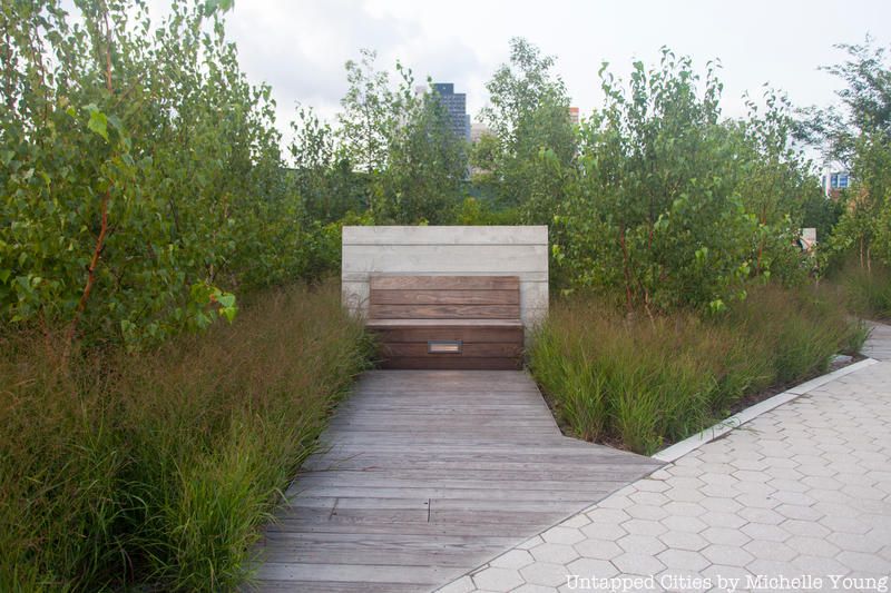 A bench surrounded by greenery