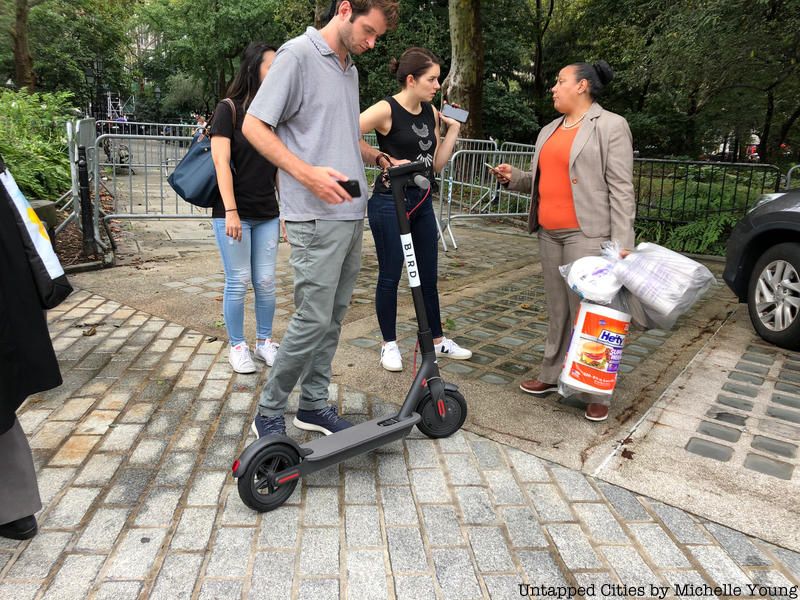 Bird electric scooter