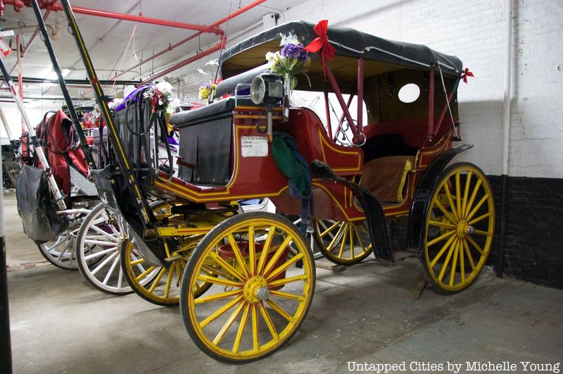 Horse drawn carriages in NYC