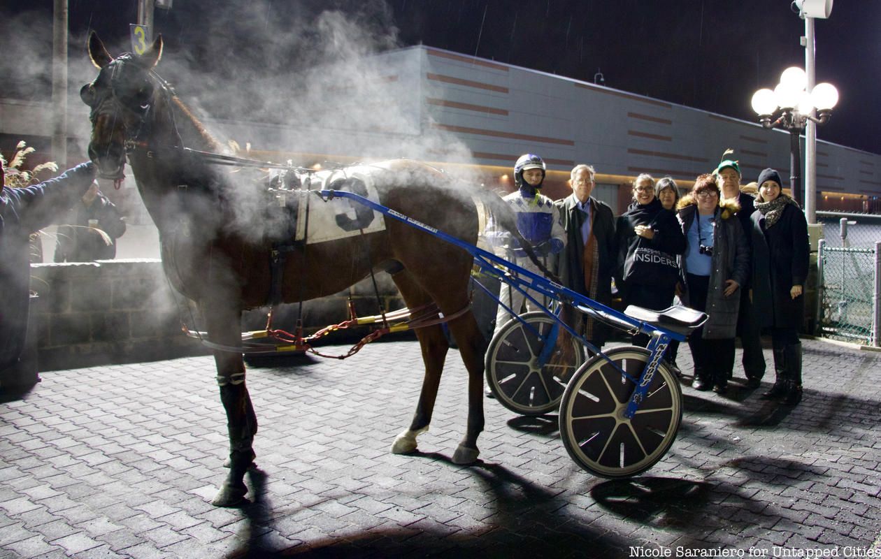 horse and people at Yonkers raceway