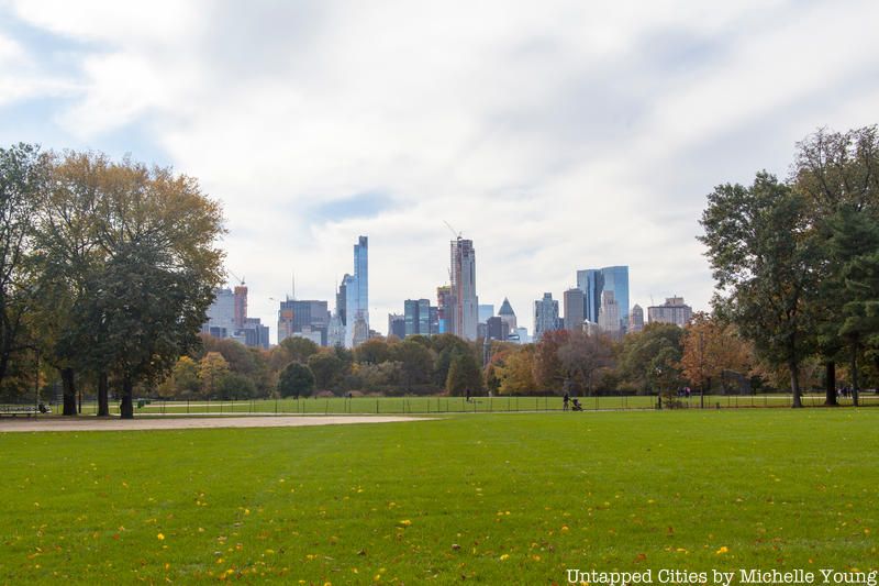 The Great Lawn in Central Park