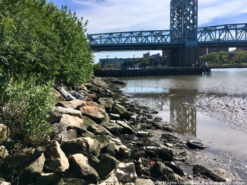 Randall's Island hidden beach in NYC