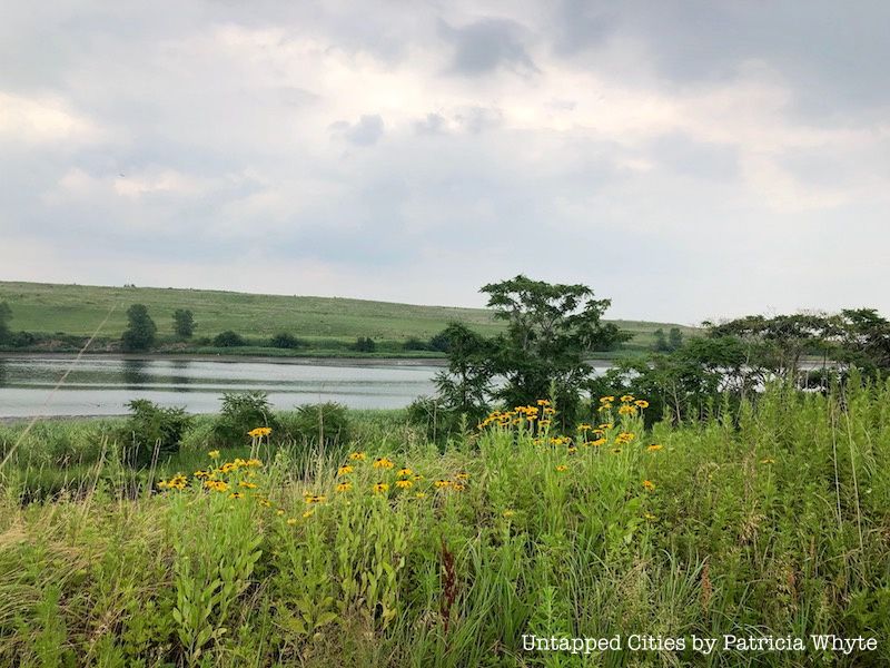 Shirley Chisholm State Park in the Gateway National Recreation Area