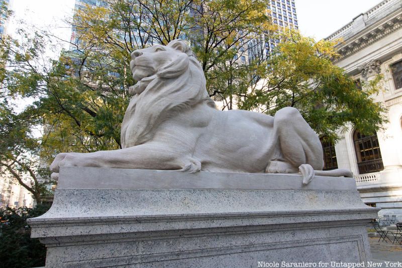 New York Public Library Lion