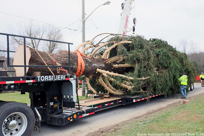 Rockefeller Christmas Tree on truck