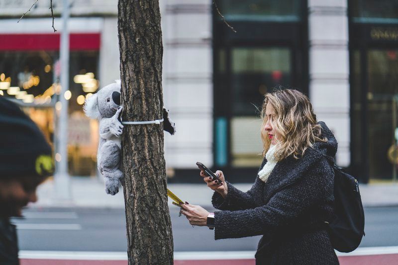 Koalas of NYC at climbing tree