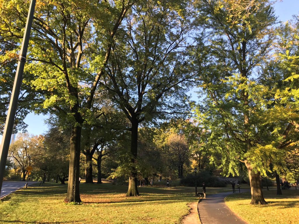 The Seneca Village site inside Central Park