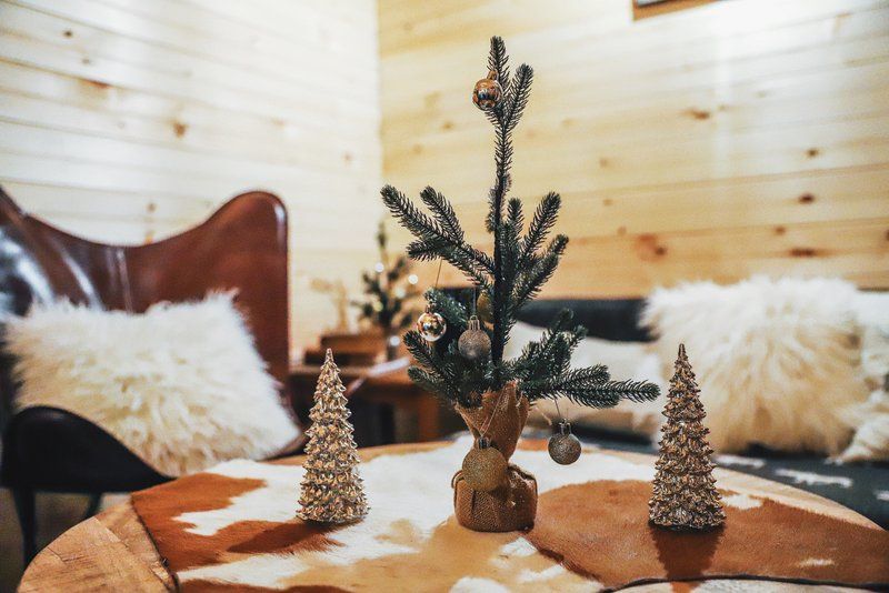 Interior of Apres Arlo cabin