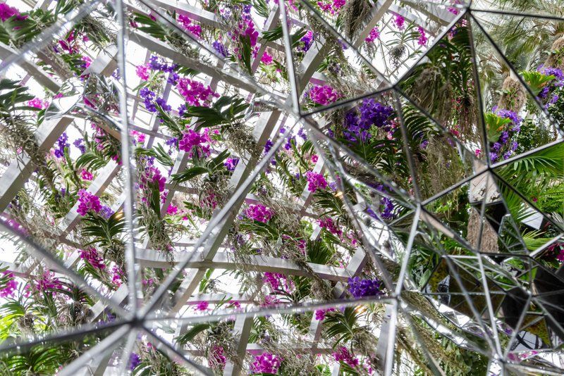 Mirrored sculpture at Orchid Show