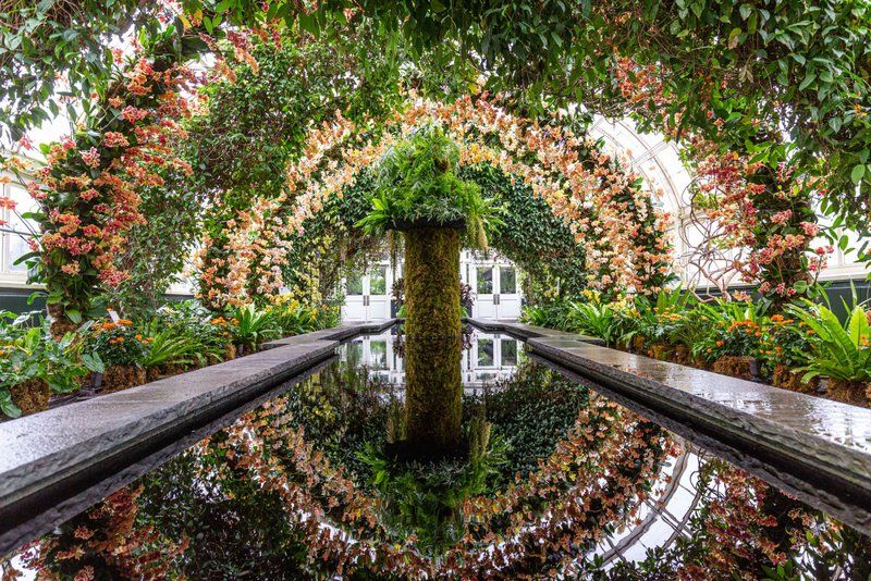 Reflecting pond at Jeff Leatham Kaleidoscope at New York Botanical Garden