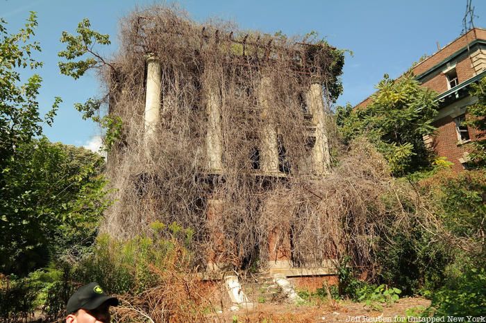 Vines overgrowing on an abandoned building on North Brother Island