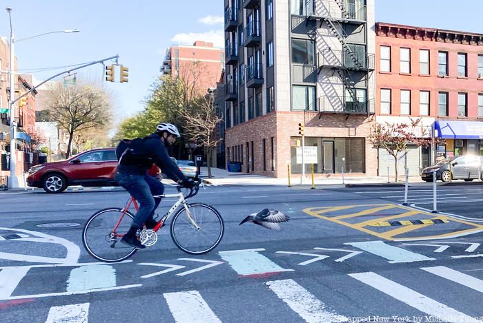 Biker on 4th Avenue Brooklyn