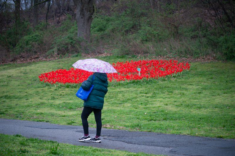 Temporary Red Dot by Daniele Frazer