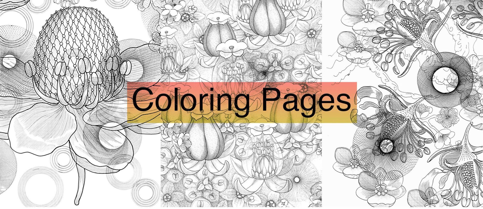 Coloring pages