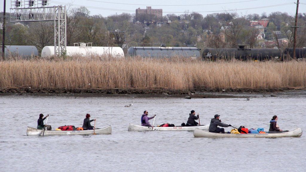 Back Water documentary in marshland