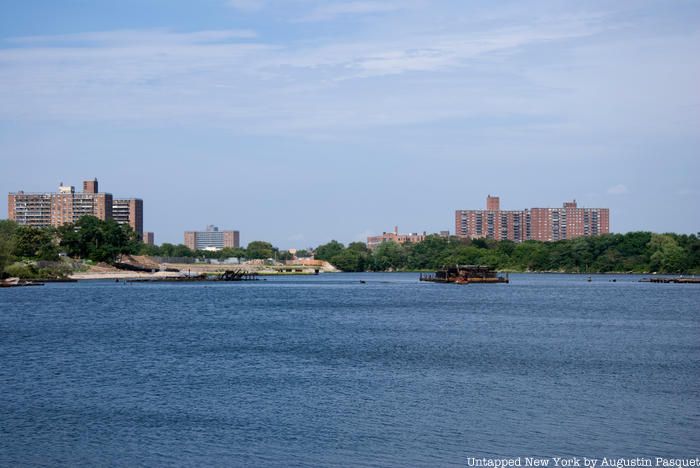 Coney Island Creek