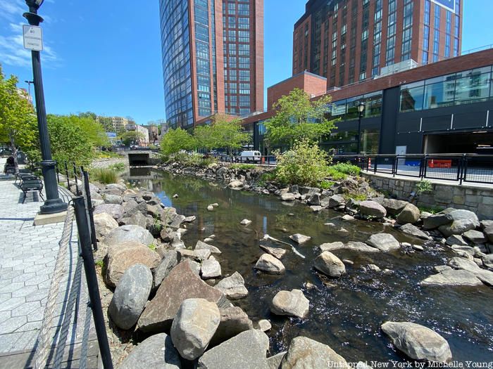 Saw Mill River with netting chamber in a distance