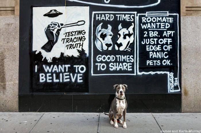 Hudson in front of work by Steve ESPO Powers