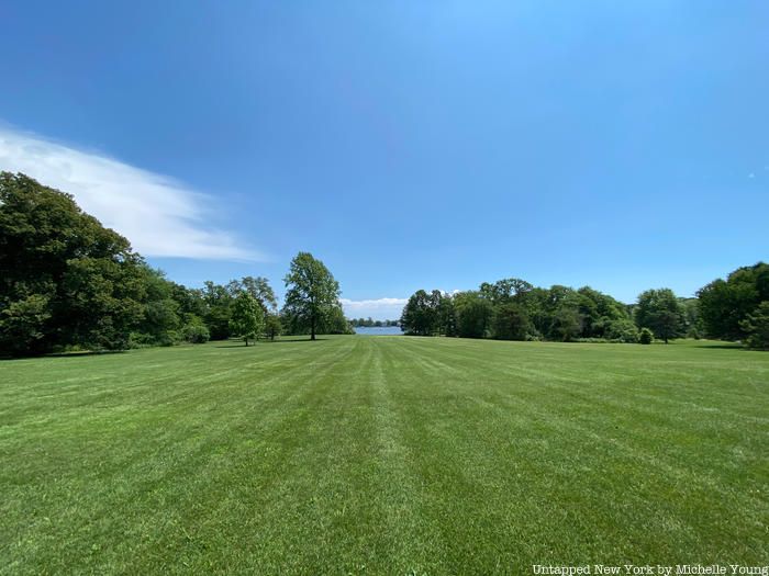 Lawn of Bayard Cutting Arboretum