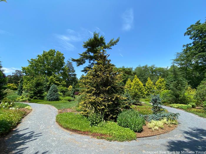 Bayard Cutting Arboretum pathway