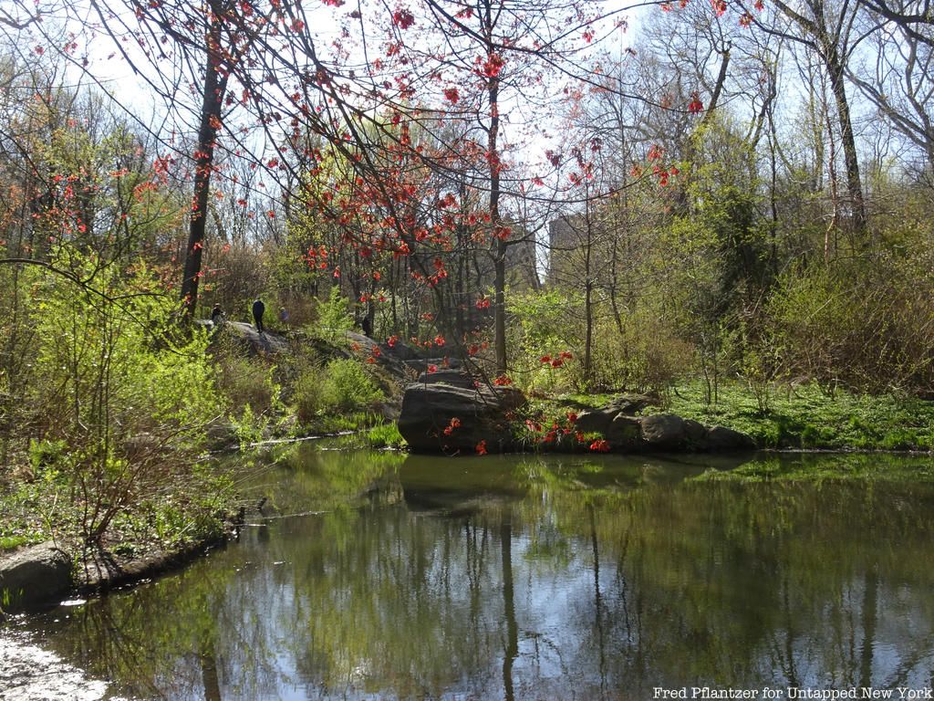 Central Park north lake