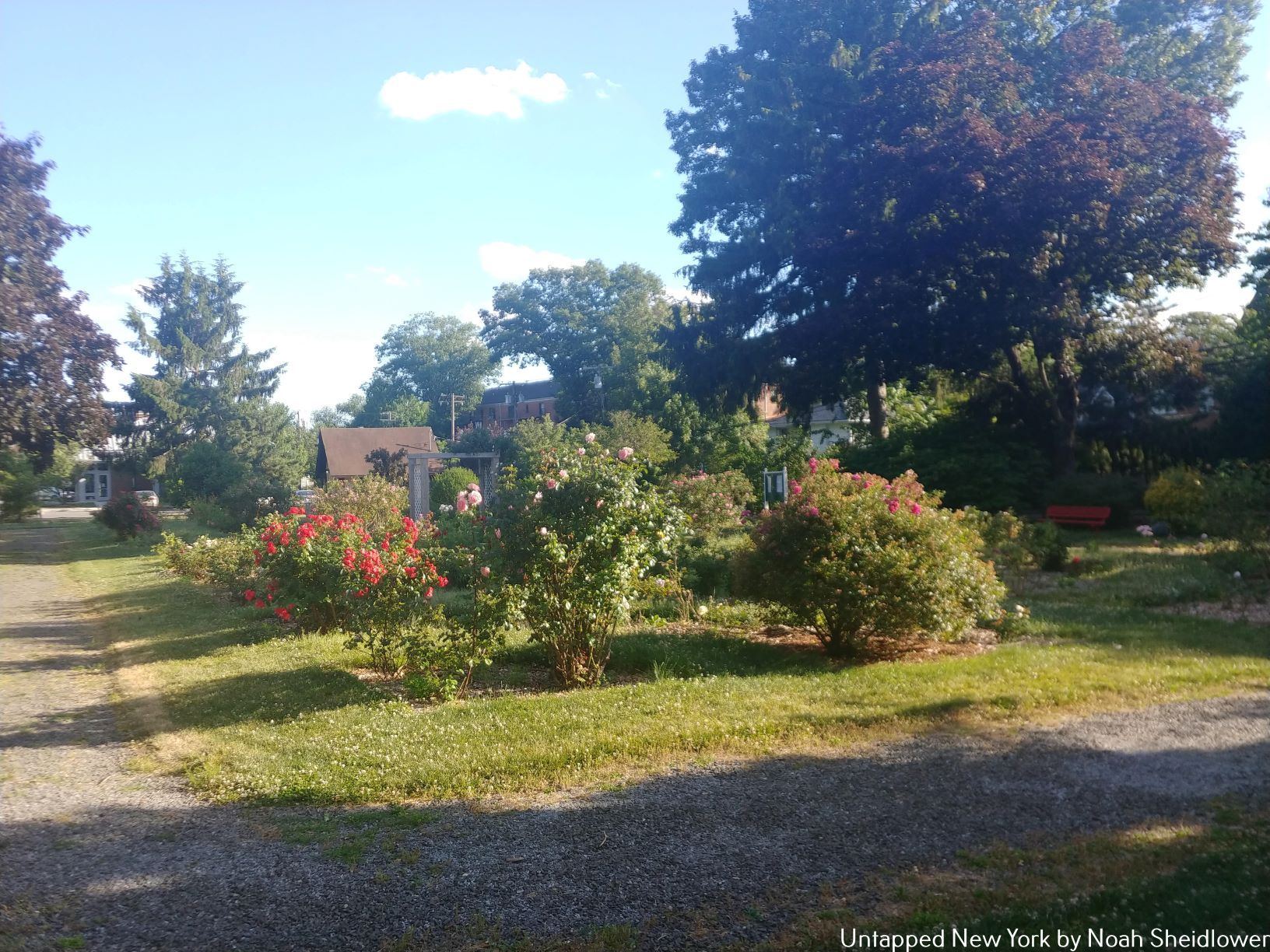 Rose Garden at Village Green