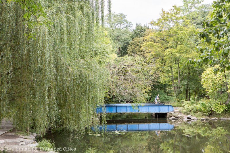 Van Cortlandt Park biking