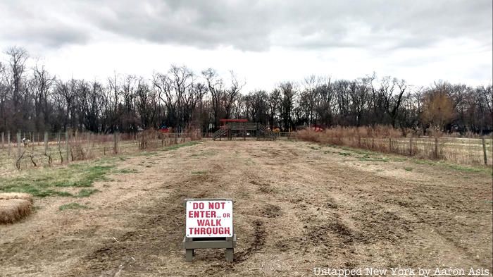 Before the Cover Crop installation