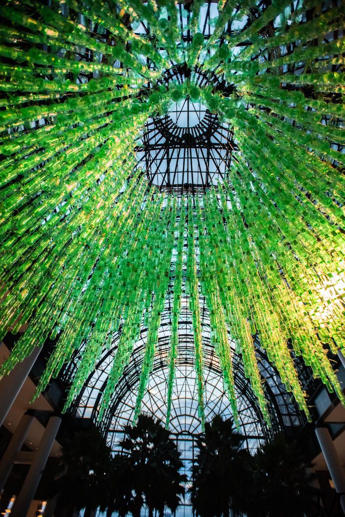 Floating Maize at the winter garden