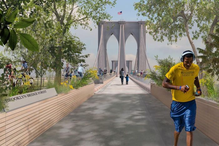 New Brooklyn Bridge Forest Brooklyn Bridge Redesign