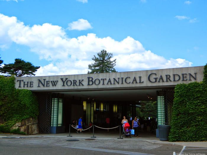 New York Botanical Garden in the Bronx