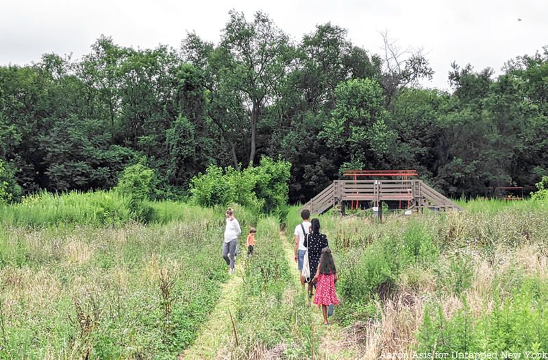 Attendees walking through Cover Crop