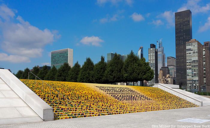 Sunflower Field Staircase with Manhattan skyline