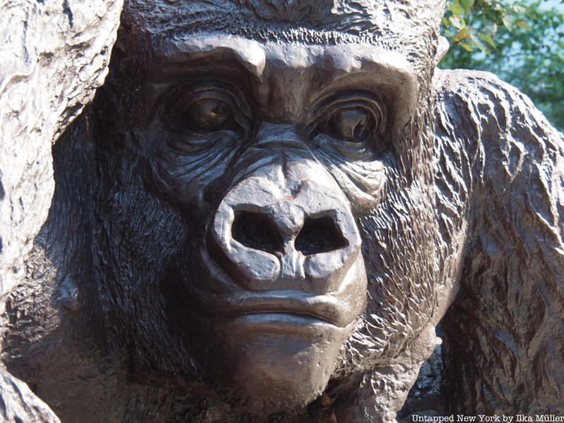 face of King Nyani Giant Mountain Gorilla