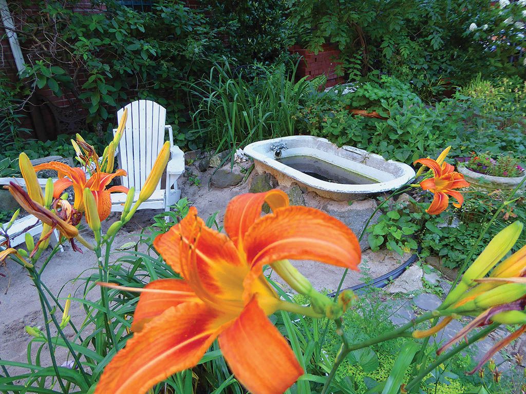 Community Garden in Rooted in the Hood