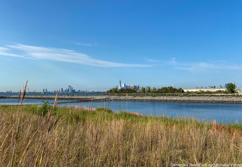 Bush Terminal Piers Park wetlands