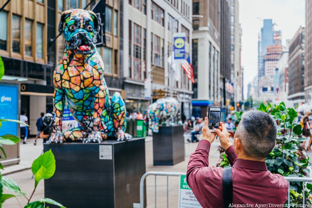 Man photographing Doggy Bag installation